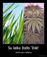 Su laiku žodis 'žolė' - keičia savo reikšmę