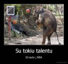 Su tokiu talentu - Iš karto į NBA