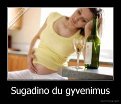 Sugadino du gyvenimus - 