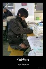 Sukčius - Lygis: Expertas