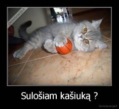 Sulošiam kašiuką ? - 