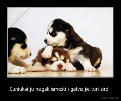 Suniukai ju negali ismesti i gatve jie turi sirdi  - 