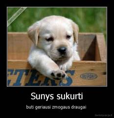 Sunys sukurti - buti geriausi zmogaus draugai 