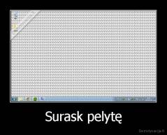 Surask pelytę - 