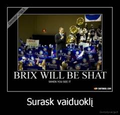 Surask vaiduoklį - 