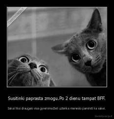 Susitinki paprasta zmogu.Po 2 dienu tampat BFF. - Sakai liksi draugais visa gyvenima.Bet uztenka menesio pamirsti ka sakei.