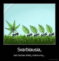 Svarbiausia, - kad darbas teiktų malonumą...