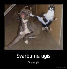 Svarbu ne ūgis - O smugis