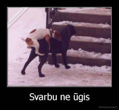 Svarbu ne ūgis - 