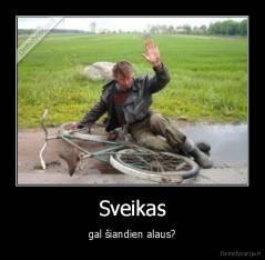 Sveikas - gal šiandien alaus?