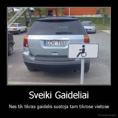 Sveiki Gaideliai - Nes tik tikras gaidelis sustoja tam tikrose vietose