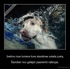 Sveikinu tuos kuriems šuns skendimas sukelia juoką - Šiandien tuo galėjot pasiremti rašinyje.