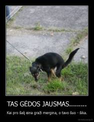 TAS GĖDOS JAUSMAS......... - Kai pro šalį eina graži mergina, o tavo šuo - šika.