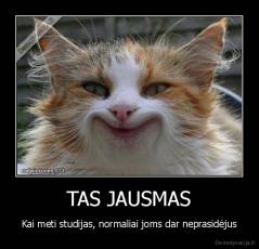 TAS JAUSMAS - Kai meti studijas, normaliai joms dar neprasidėjus