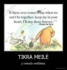 TIKRA MEILĖ - ji niekada neišblėsta