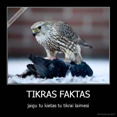 TIKRAS FAKTAS - jaigu tu kietas tu tikrai laimesi