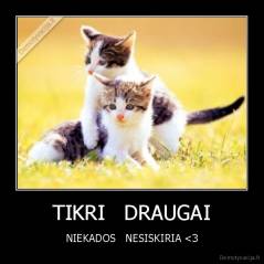 TIKRI   DRAUGAI - NIEKADOS   NESISKIRIA 