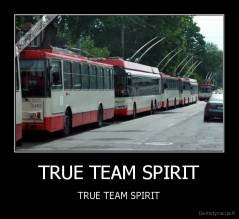 TRUE TEAM SPIRIT - TRUE TEAM SPIRIT