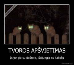 TVOROS APŠVIETIMAS - Įsijungia su dešrele, išsijungia su kaliošu