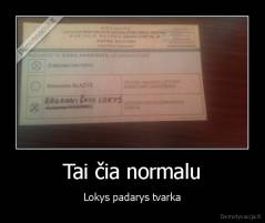 Tai čia normalu - Lokys padarys tvarka