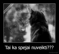 Tai ka spejai nuveikti??? - 