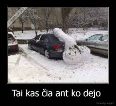 Tai kas čia ant ko dejo  - 