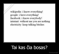 Tai kas čia bosas? - 