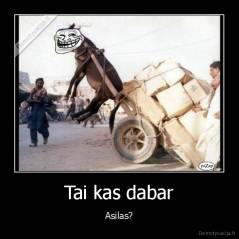 Tai kas dabar - Asilas?