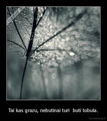 Tai kas grazu, nebutinai turi  buti tobula. - 