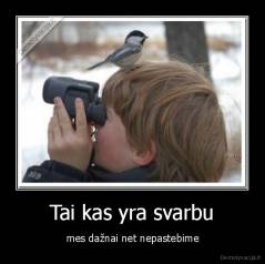 Tai kas yra svarbu - mes dažnai net nepastebime