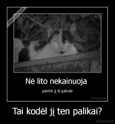 Tai kodėl jį ten palikai? - 
