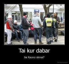 Tai kur dabar - tie Kauno skinai?