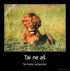 Tai ne aš - Tai mano schauma!