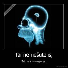 Tai ne riešutėlis, - Tai mano smegenys.