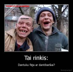 Tai rinkis: - Dantuku fėja ar dantibaršiai?