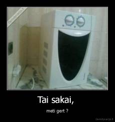 Tai sakai,  - meti gert ?