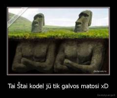 Tai Štai kodel jū tik galvos matosi xD - 
