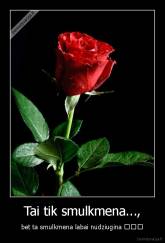 Tai tik smulkmena..., - bet ta smulkmena labai nudziugina ♥♥♥