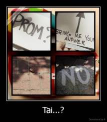 Tai...? - 