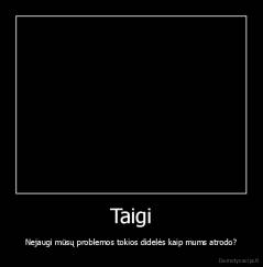 Taigi - Nejaugi mūsų problemos tokios didelės kaip mums atrodo?