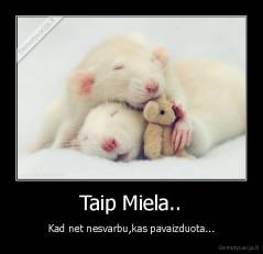 Taip Miela.. - Kad net nesvarbu,kas pavaizduota...