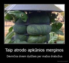 Taip atrodo apkūnios merginos - Dėvinčios dviem dydžiais per mažus drabužius