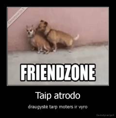 Taip atrodo - draugystė tarp moters ir vyro