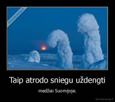 Taip atrodo sniegu uždengti - medžiai Suomijoje.