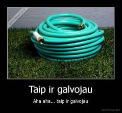 Taip ir galvojau - Aha aha... taip ir galvojau