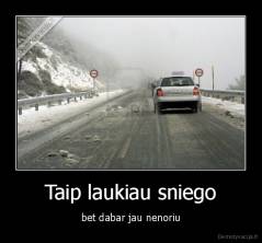 Taip laukiau sniego - bet dabar jau nenoriu