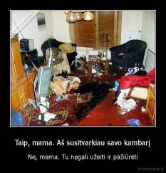 Taip, mama. Aš susitvarkiau savo kambarį - Ne, mama. Tu negali užeiti ir pažiūrėti