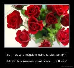 Taip - mes vyrai mėgstam lepint paneles, bet B**T  - Gal ir jūs,  brangiosios parodytumėt dėmesio, o ne tik ožius?