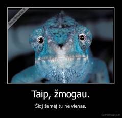Taip, žmogau. - Šioj žemėj tu ne vienas.