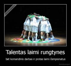 Talentas laimi rungtynes - bet komandinis darbas ir protas laimi čempionatus